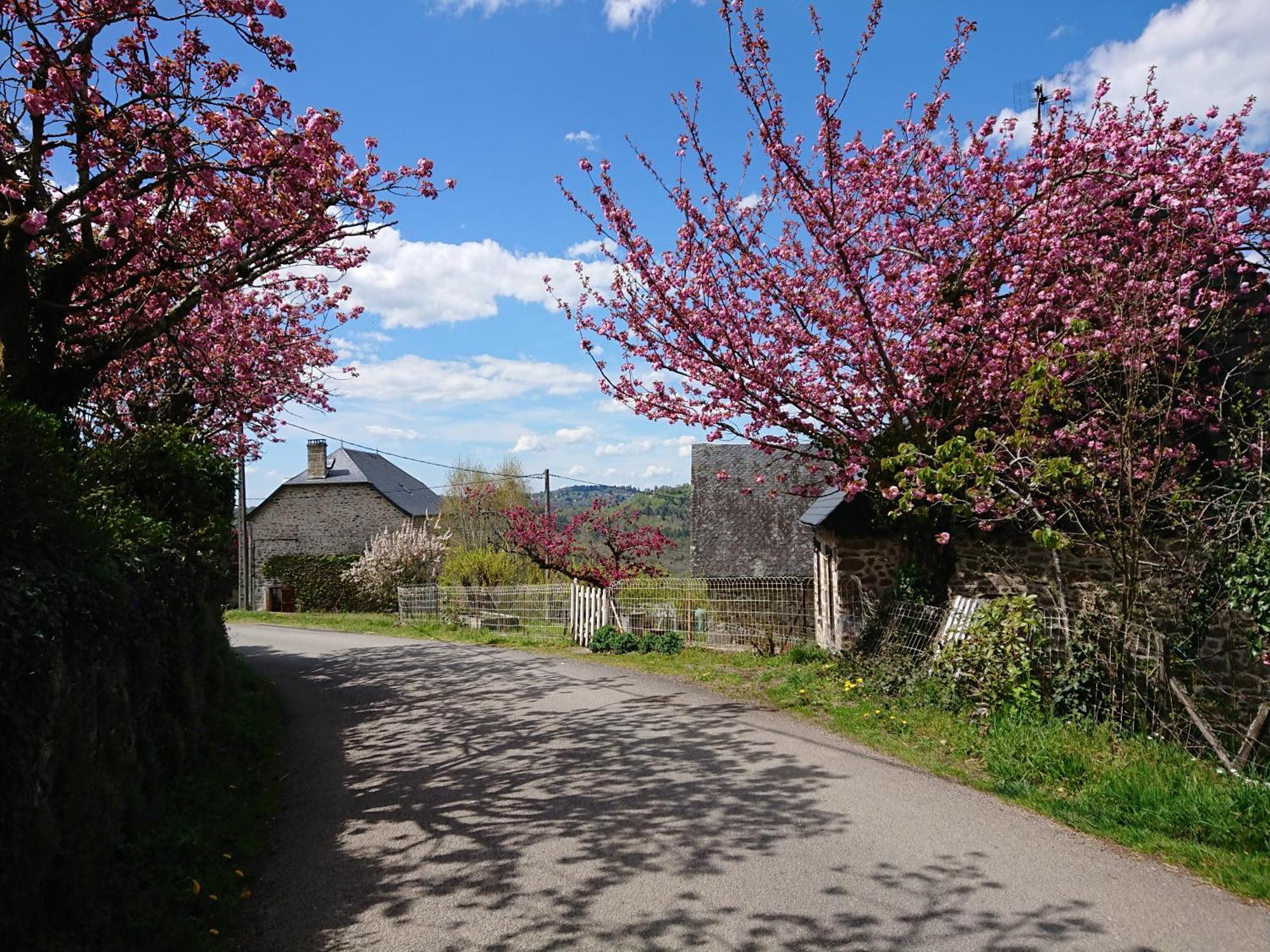 Hébergement de vacances D'hublange Bar